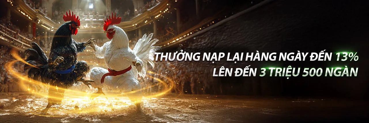 Trực tiếp đá gà Tân Biên kịch tính tại 888vnd